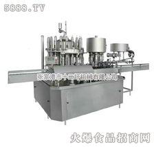 十二圩YGF油类灌装机组 诚邀全国合作伙伴，共创智慧灌装新未来